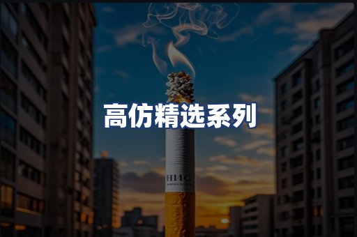 高仿精选系列